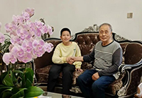 药香里的童年-国际短信验证码接口